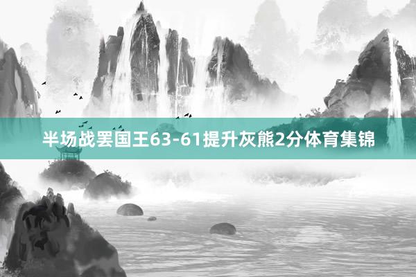 半场战罢国王63-61提升灰熊2分体育集锦