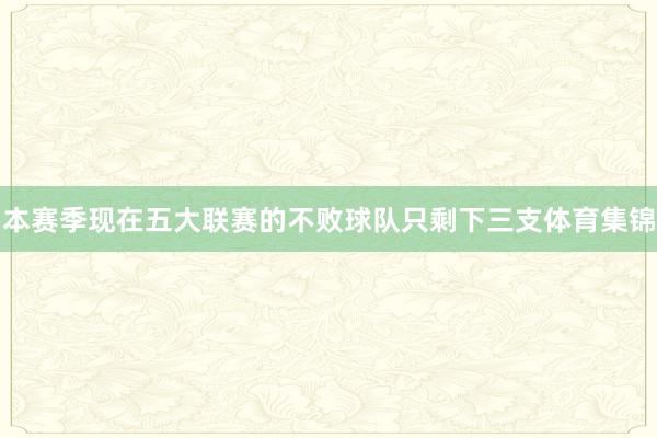 本赛季现在五大联赛的不败球队只剩下三支体育集锦