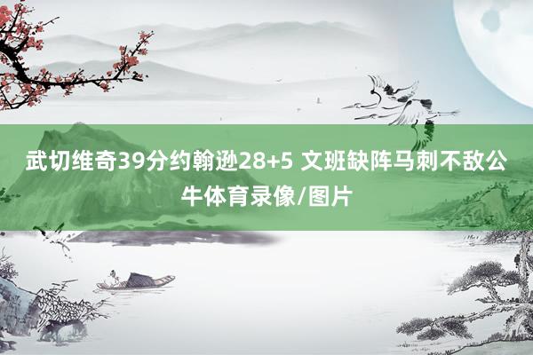 武切维奇39分约翰逊28+5 文班缺阵马刺不敌公牛体育录像/图片