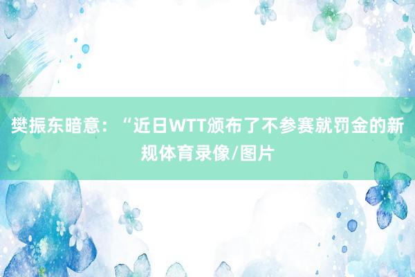 樊振东暗意：“近日WTT颁布了不参赛就罚金的新规体育录像/图片