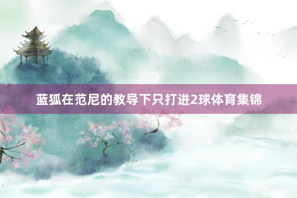 蓝狐在范尼的教导下只打进2球体育集锦