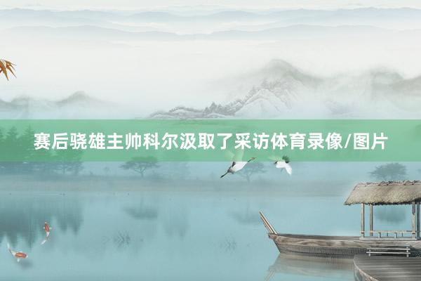 赛后骁雄主帅科尔汲取了采访体育录像/图片