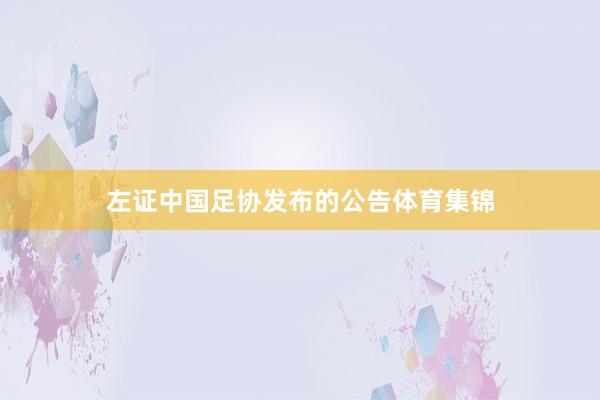 左证中国足协发布的公告体育集锦
