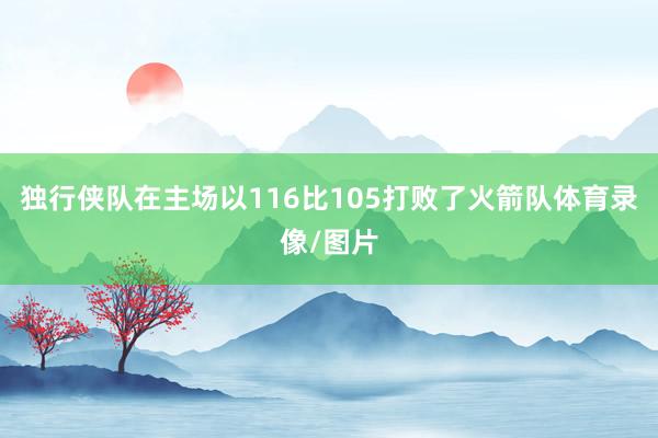 独行侠队在主场以116比105打败了火箭队体育录像/图片