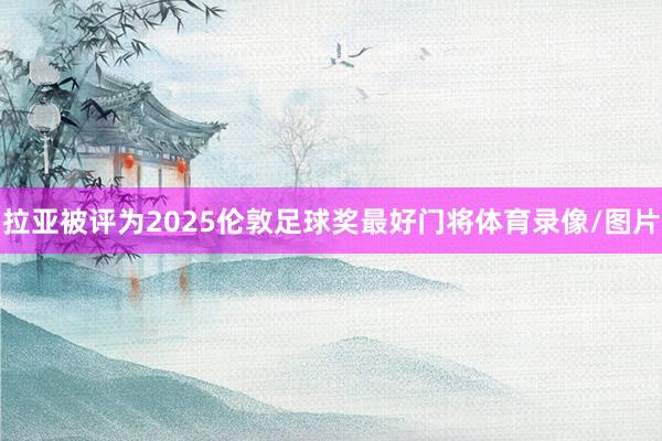 拉亚被评为2025伦敦足球奖最好门将体育录像/图片