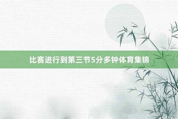 比赛进行到第三节5分多钟体育集锦