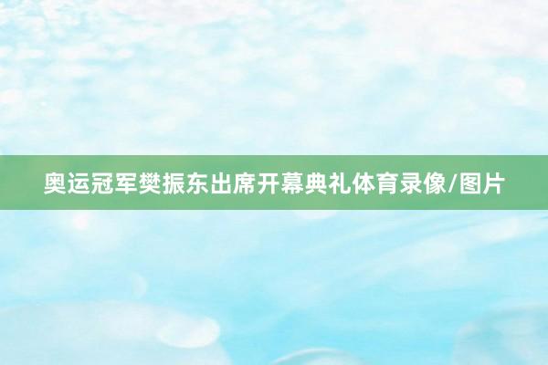 奥运冠军樊振东出席开幕典礼体育录像/图片