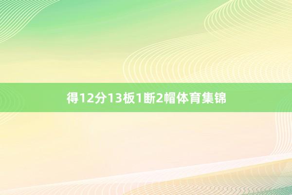 得12分13板1断2帽体育集锦