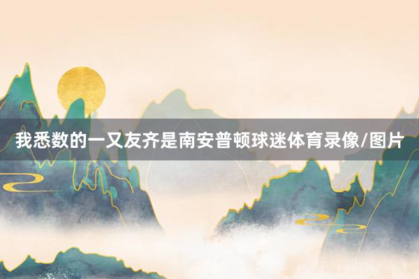 我悉数的一又友齐是南安普顿球迷体育录像/图片
