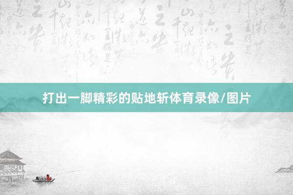打出一脚精彩的贴地斩体育录像/图片
