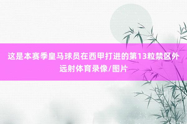 这是本赛季皇马球员在西甲打进的第13粒禁区外远射体育录像/图片
