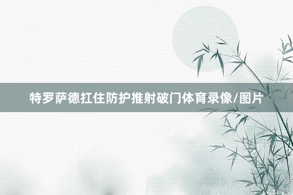特罗萨德扛住防护推射破门体育录像/图片
