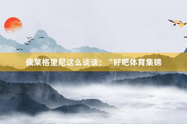 佩莱格里尼这么谈谈:“好吧体育集锦