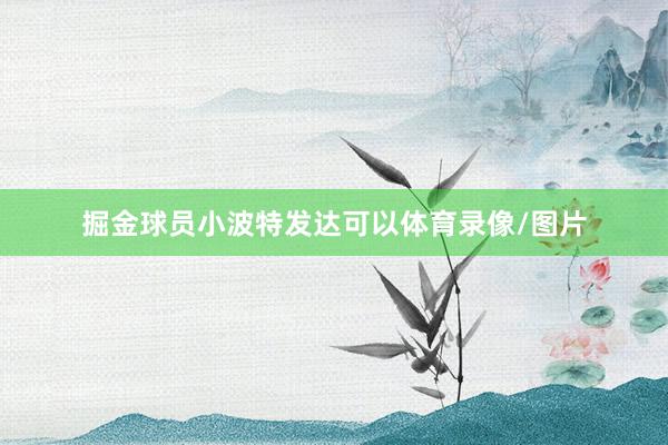 掘金球员小波特发达可以体育录像/图片