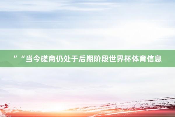 ”“当今磋商仍处于后期阶段世界杯体育信息