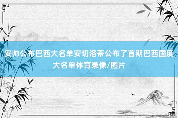 安帅公布巴西大名单安切洛蒂公布了首期巴西国度大名单体育录像/图片