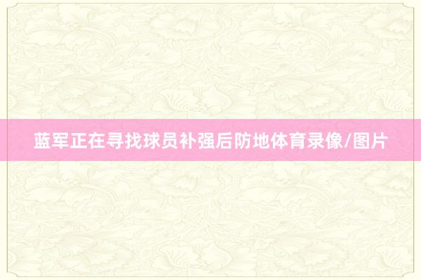 蓝军正在寻找球员补强后防地体育录像/图片