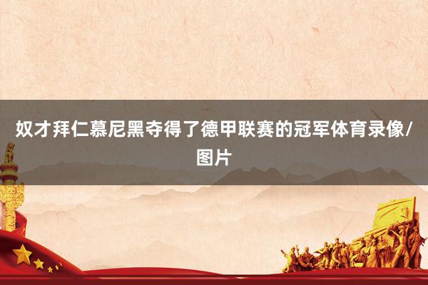 奴才拜仁慕尼黑夺得了德甲联赛的冠军体育录像/图片