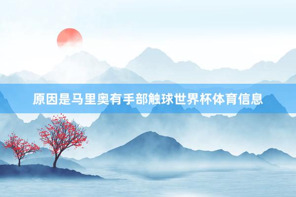 原因是马里奥有手部触球世界杯体育信息