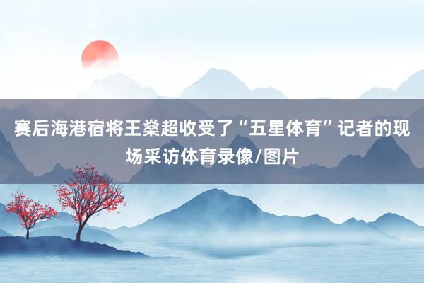 赛后海港宿将王燊超收受了“五星体育”记者的现场采访体育录像/图片