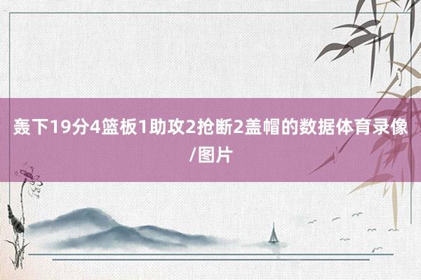 轰下19分4篮板1助攻2抢断2盖帽的数据体育录像/图片