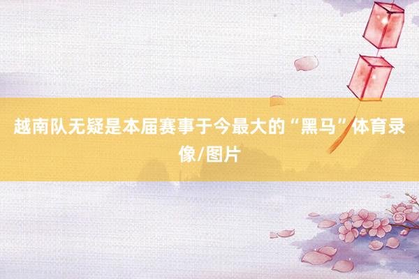 越南队无疑是本届赛事于今最大的“黑马”体育录像/图片