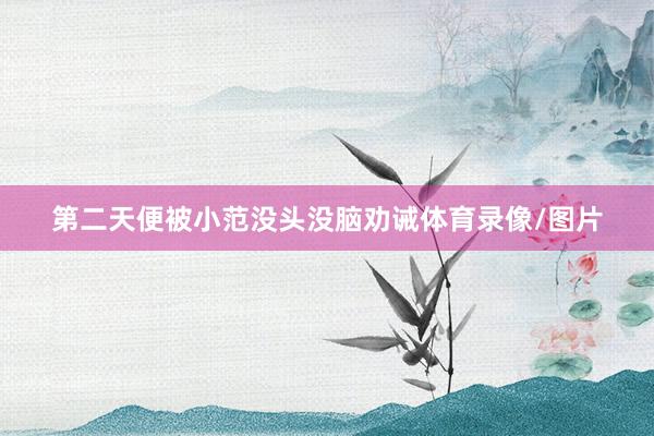 第二天便被小范没头没脑劝诫体育录像/图片