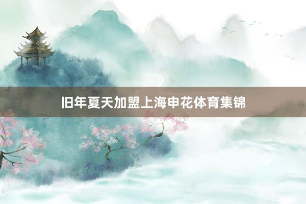 旧年夏天加盟上海申花体育集锦