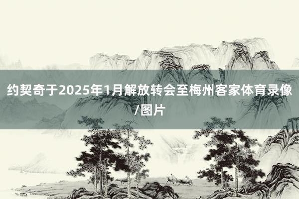 约契奇于2025年1月解放转会至梅州客家体育录像/图片