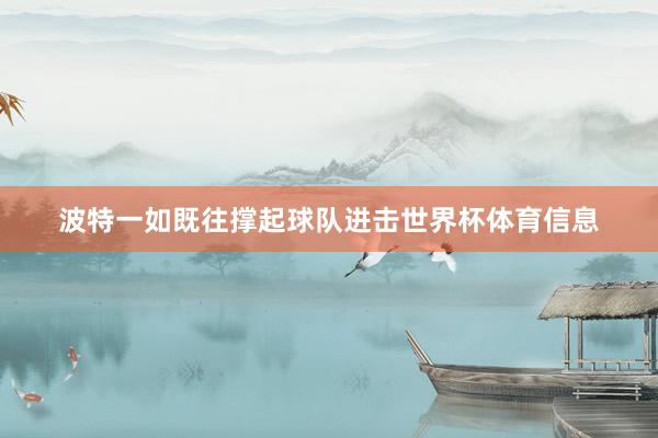 波特一如既往撑起球队进击世界杯体育信息