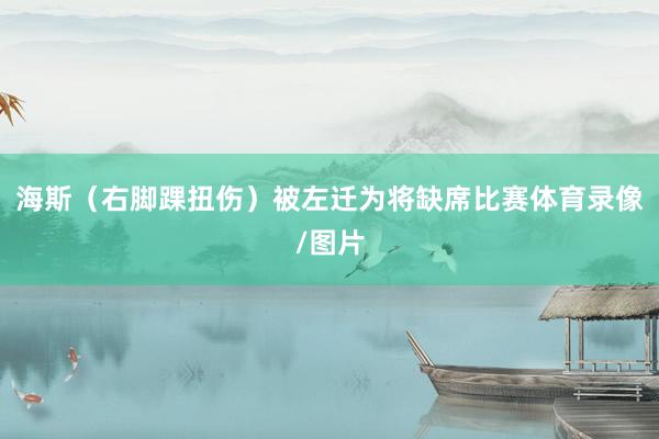 海斯（右脚踝扭伤）被左迁为将缺席比赛体育录像/图片