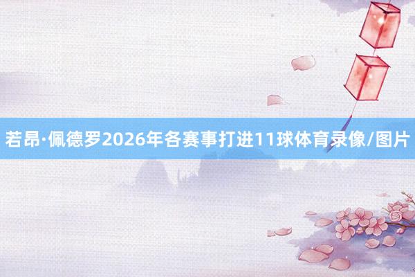 若昂·佩德罗2026年各赛事打进11球体育录像/图片