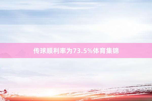 传球顺利率为73.5%体育集锦