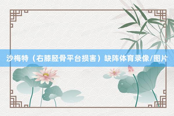 沙梅特（右膝胫骨平台损害）缺阵体育录像/图片