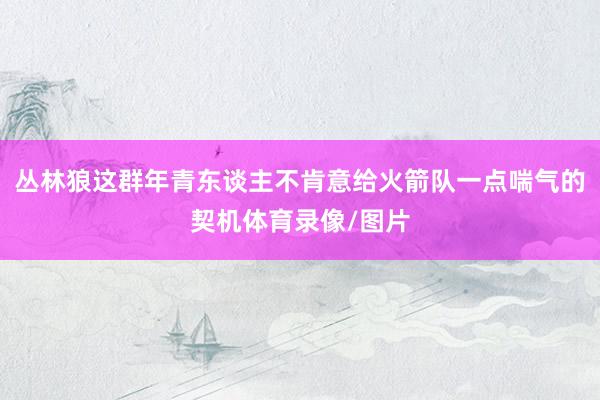 丛林狼这群年青东谈主不肯意给火箭队一点喘气的契机体育录像/图片