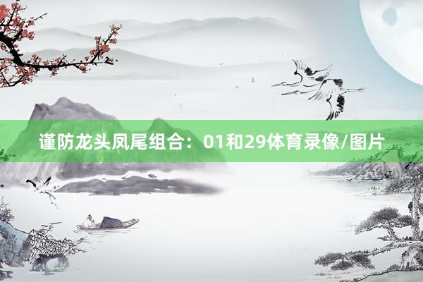 谨防龙头凤尾组合：01和29体育录像/图片