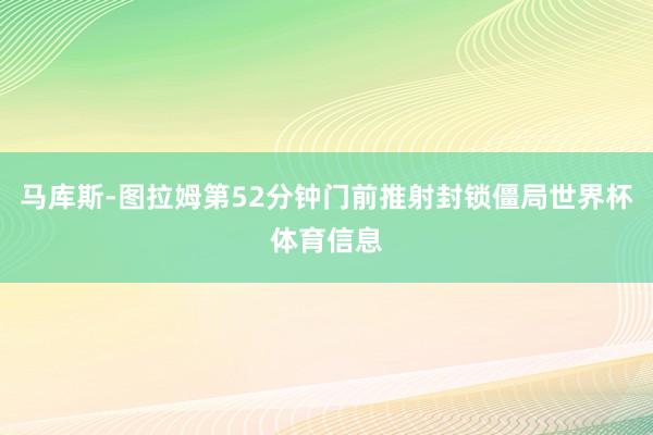 马库斯-图拉姆第52分钟门前推射封锁僵局世界杯体育信息