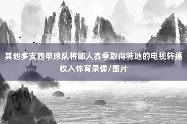 其他多支西甲球队将鄙人赛季取得特地的电视转播收入体育录像/图片