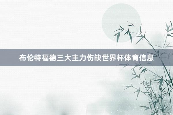 布伦特福德三大主力伤缺世界杯体育信息