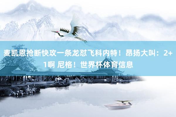 麦凯恩抢断快攻一条龙怼飞科内特！昂扬大叫：2+1啊 尼格！世界杯体育信息